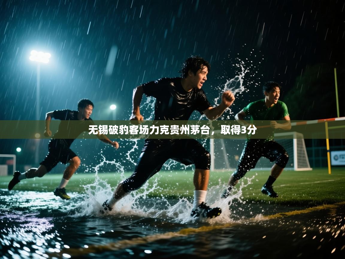 无锡破豹客场力克贵州茅台，取得3分  第2张