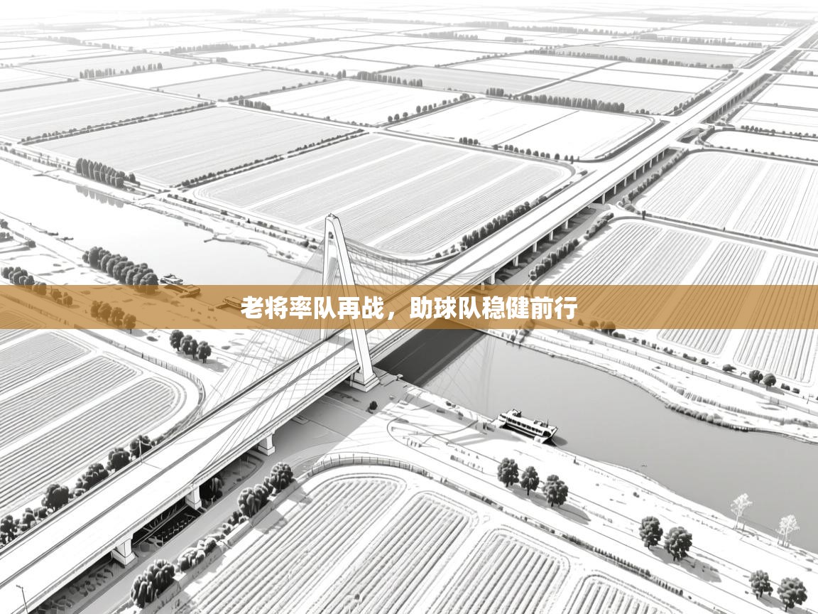 老将率队再战,助球队稳健前行 第2张