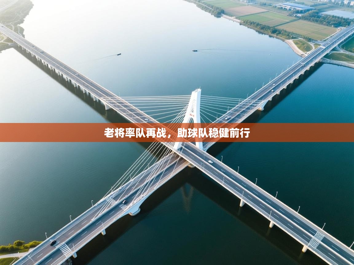 老将率队再战,助球队稳健前行 第1张