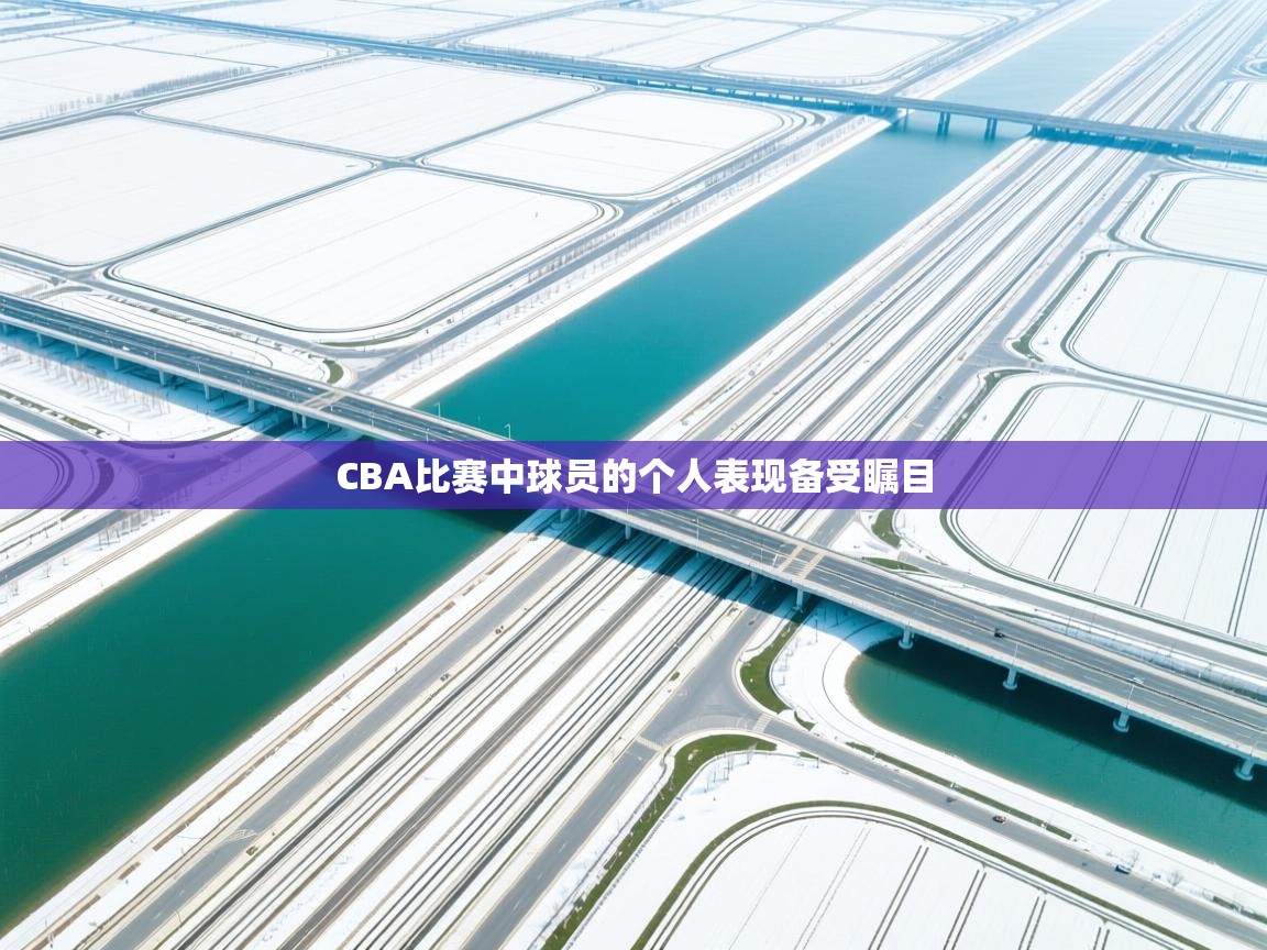 CBA比赛中球员的个人表现备受瞩目 第1张