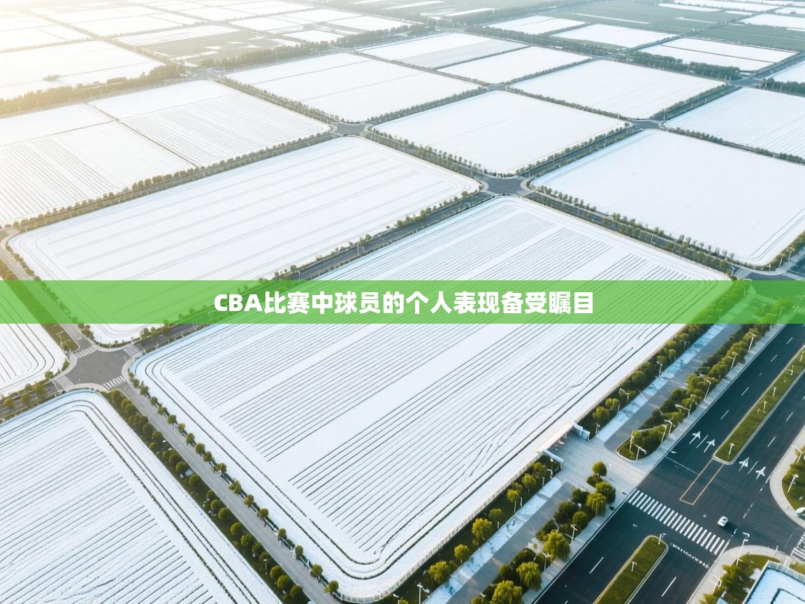 CBA比赛中球员的个人表现备受瞩目 第2张