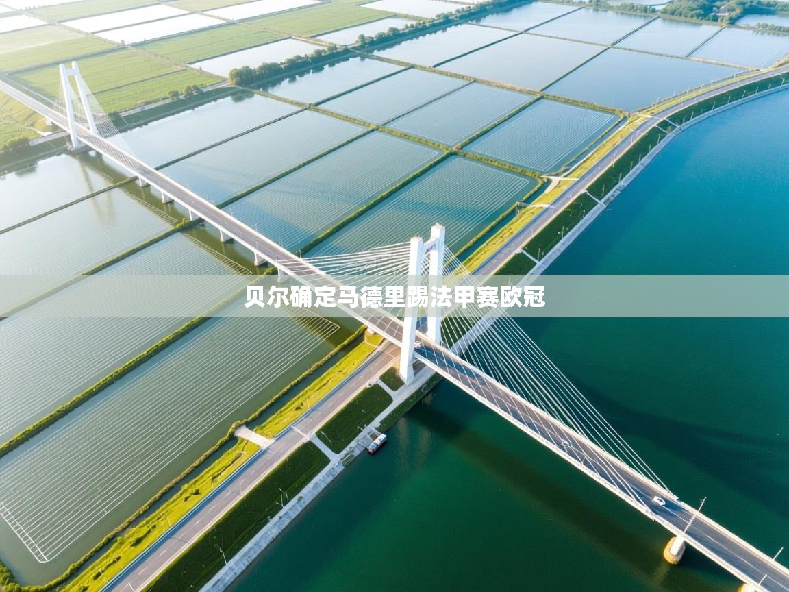 贝尔确定马德里踢法甲赛欧冠  第2张