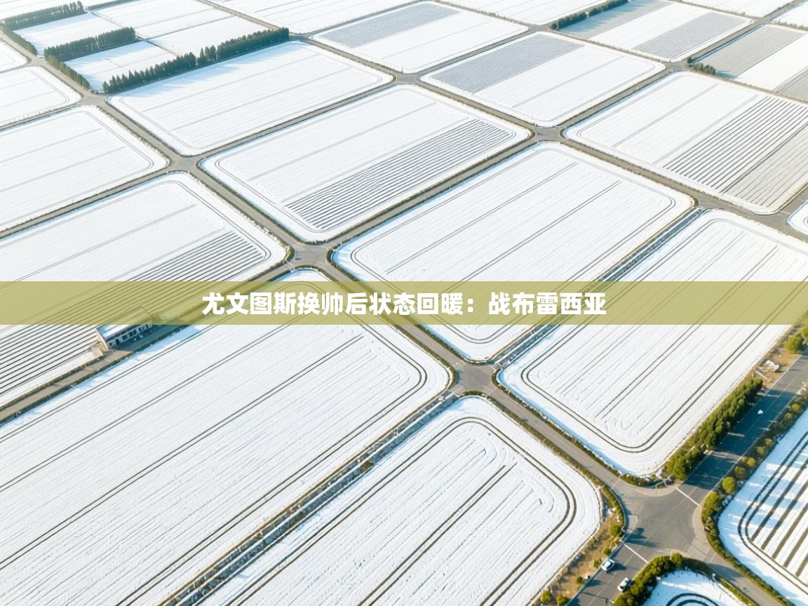 尤文图斯换帅后状态回暖:战布雷西亚 第2张