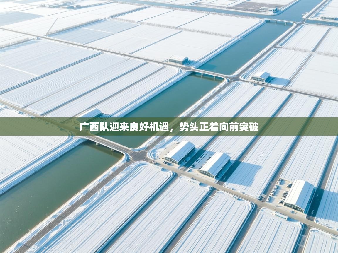 广西队迎来良好机遇,势头正着向前突破 第2张