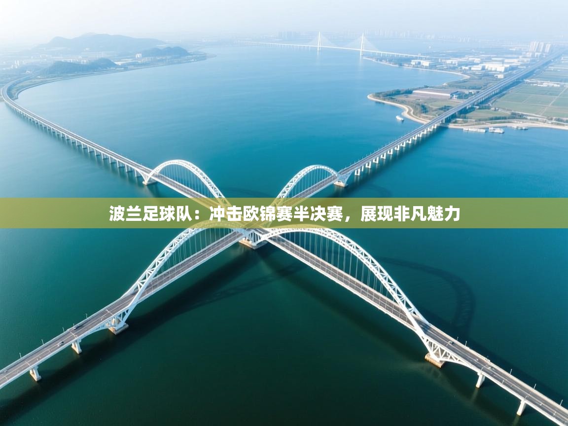 波兰足球队：冲击欧锦赛半决赛，展现非凡魅力  第1张