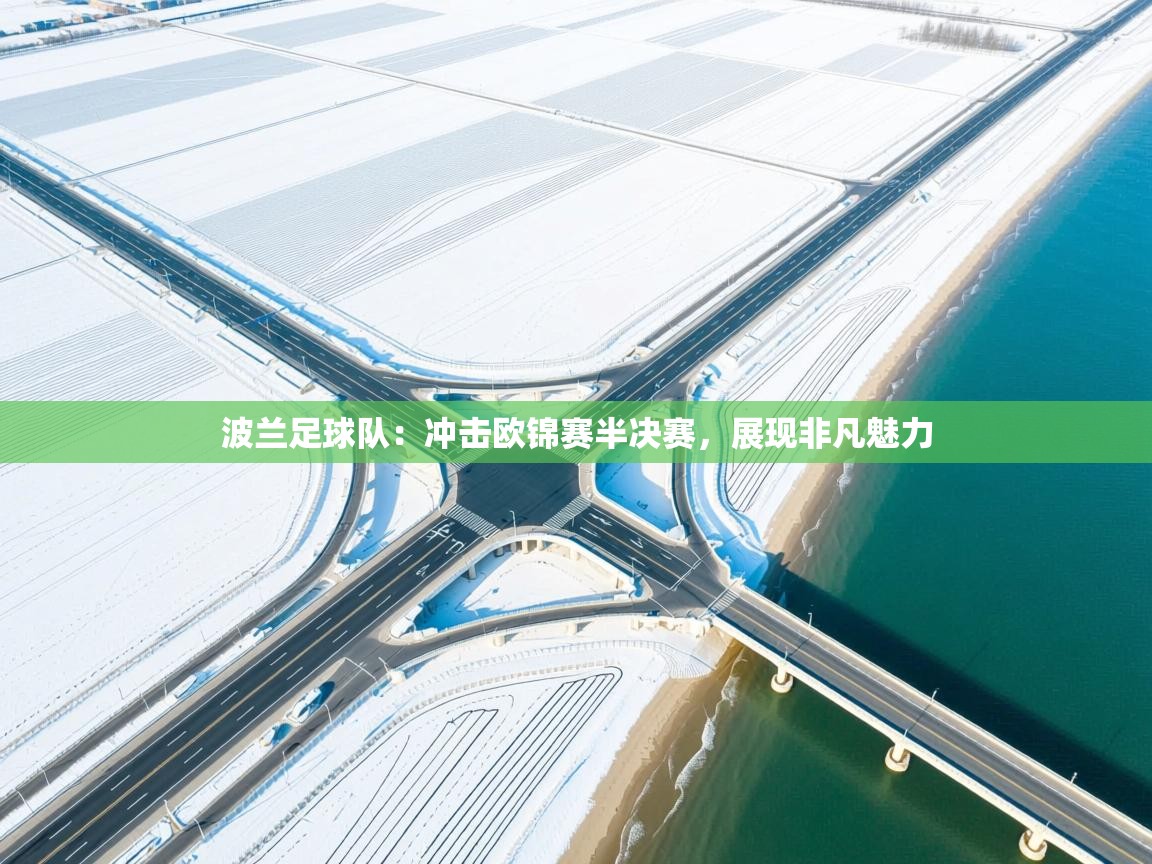 波兰足球队：冲击欧锦赛半决赛，展现非凡魅力  第2张